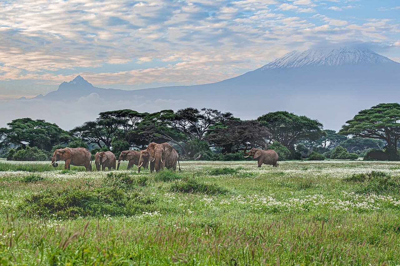 Amboseli National Park with Mount Kilimanjaro in the background